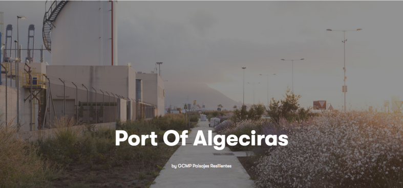 Port of Algeciras_Landezine